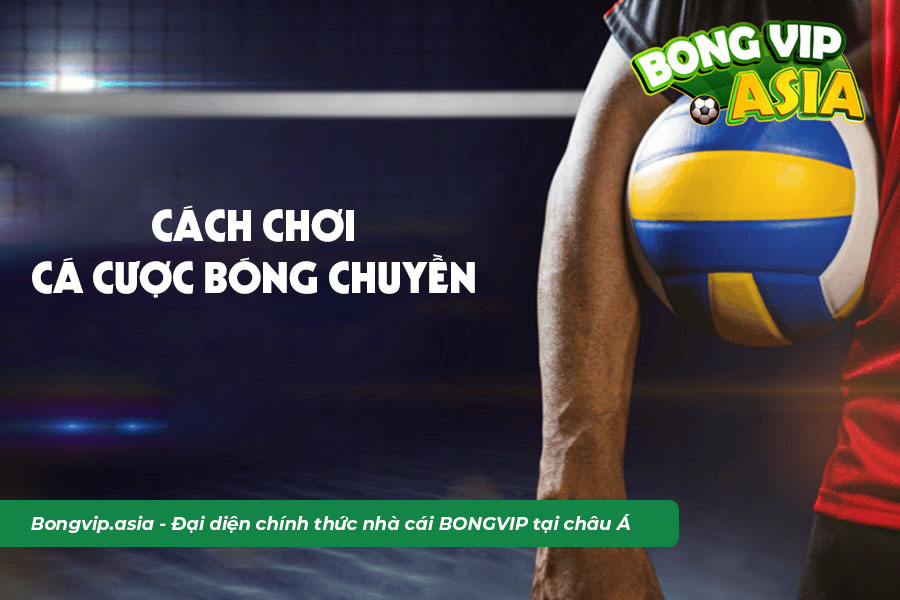 Hướng dẫn chơi cá cược bóng chuyền tại Bongvip
